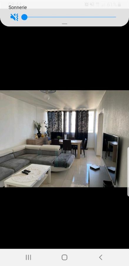 Appartement Laurent Bonnevay วีเลอร์บาน ภายนอก รูปภาพ